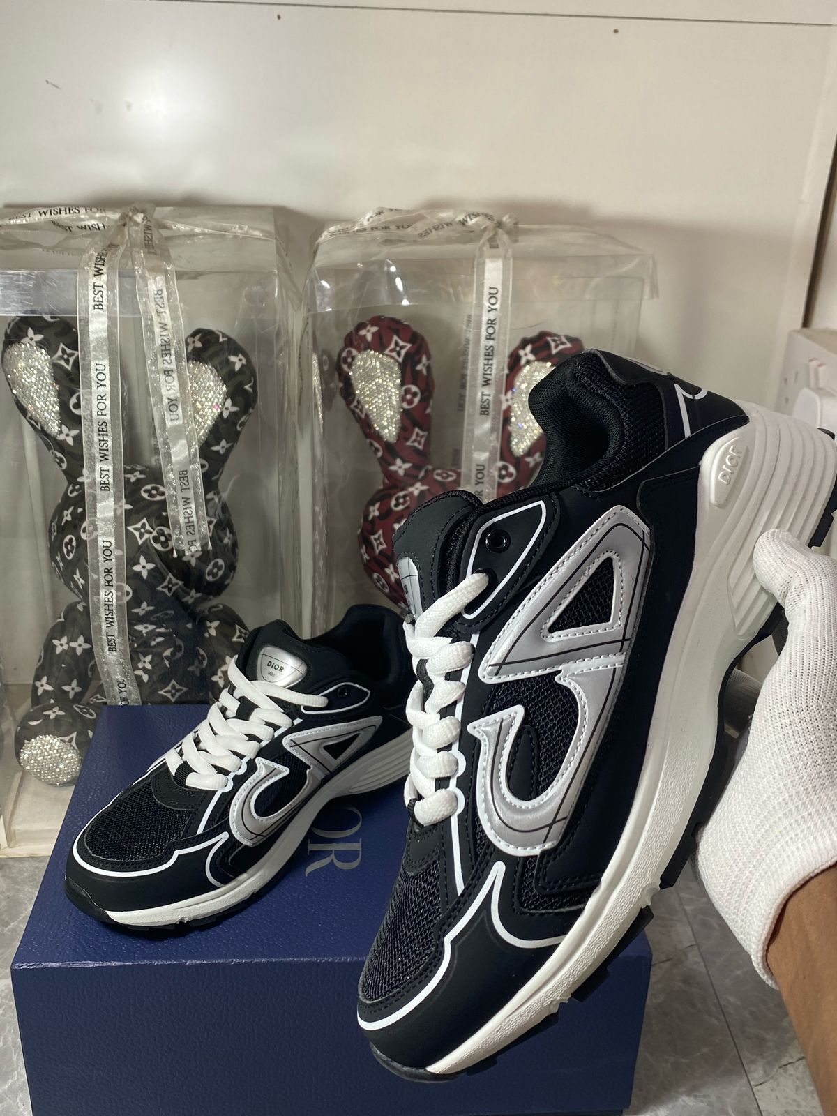 Dior B30