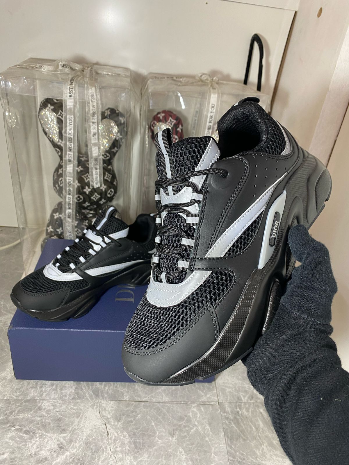 Dior B22