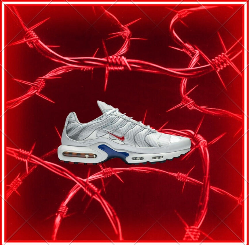 NIKE AIR MAX PLUS TN
