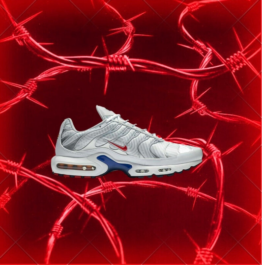 NIKE AIR MAX TN PLUS