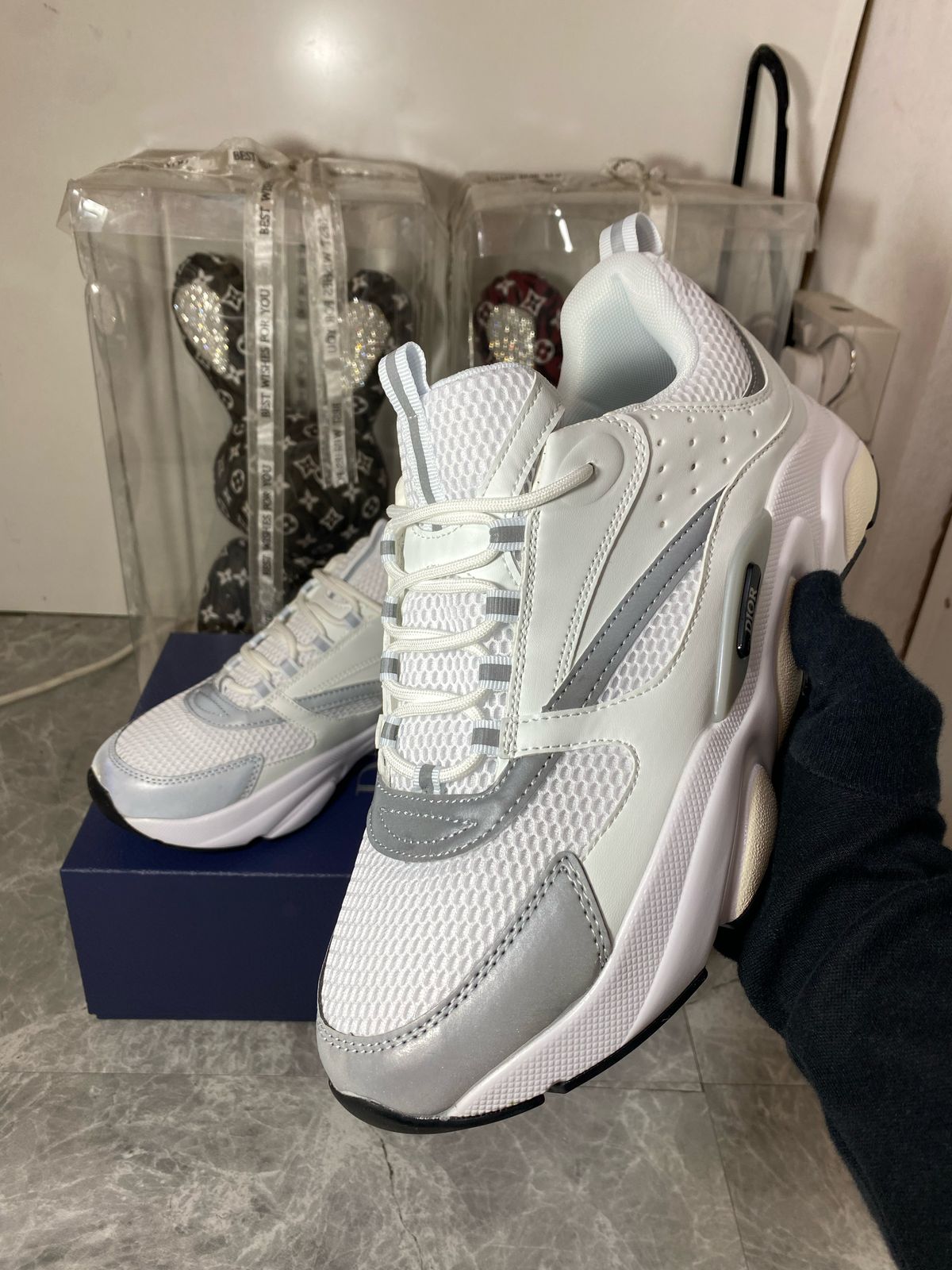 Dior B22