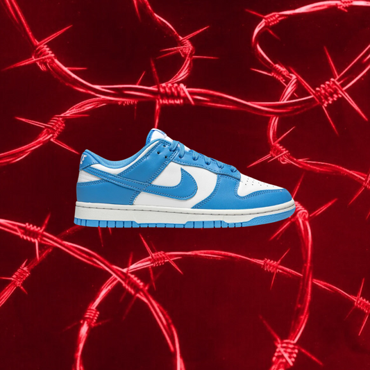 Nike Air Dunk Low University Blue