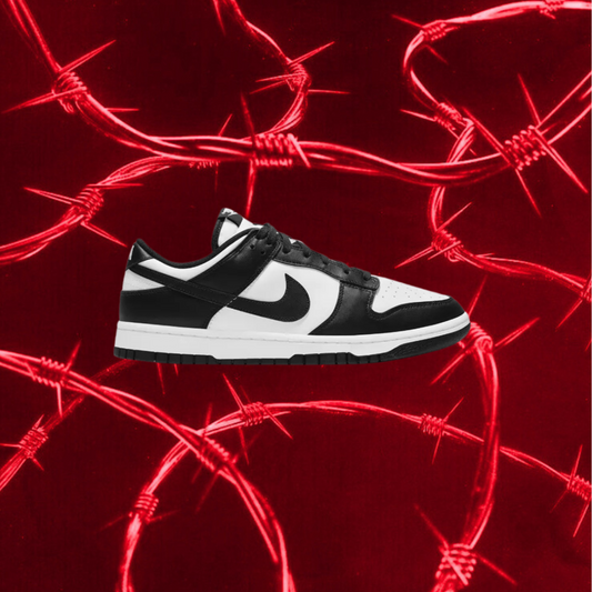 Nike Air Dunk Low Panda